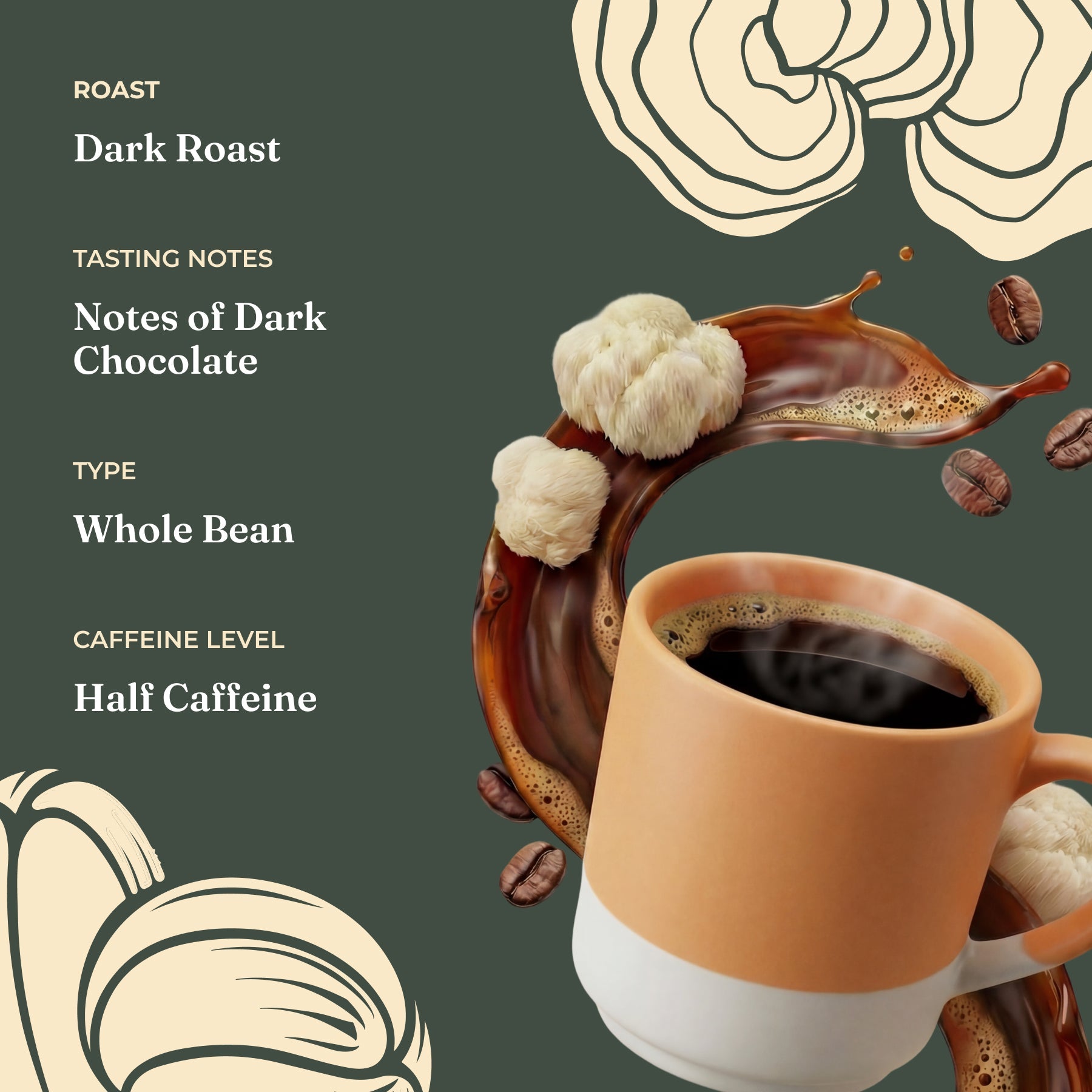 focus-half-caf-whole-bean-coffee-v8 Taste_-_Focus_Half_Caf_Whole_Bean_d1d02c35-db99-498e-ac43-813730db6953.jpg