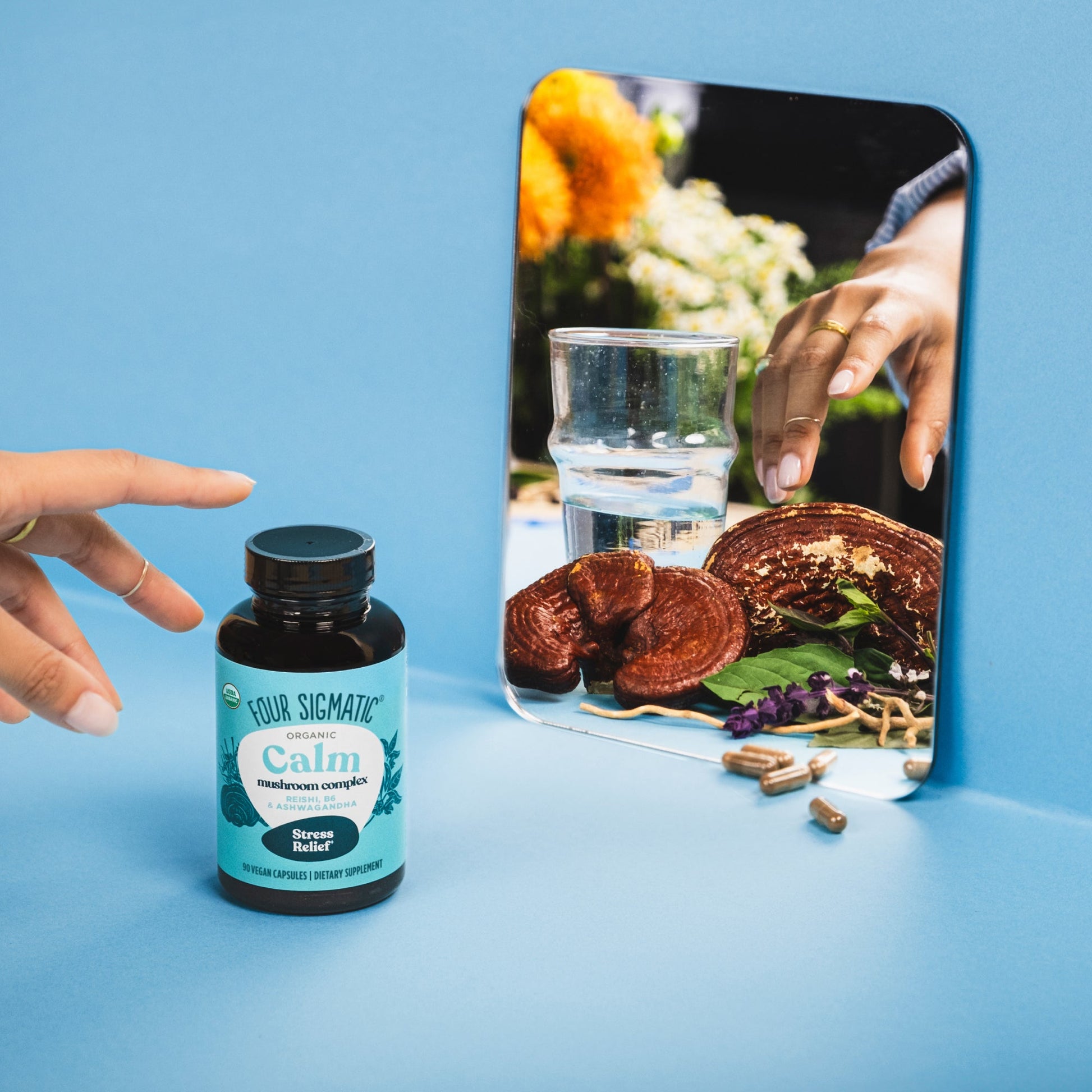 calm-capsules-b3 calm-capsule-1.jpg